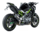 KAWASAKI Z 900 (2017 - 2019) - SC1-R Muffler, Carbon fiber, with Carbon fiber end cap